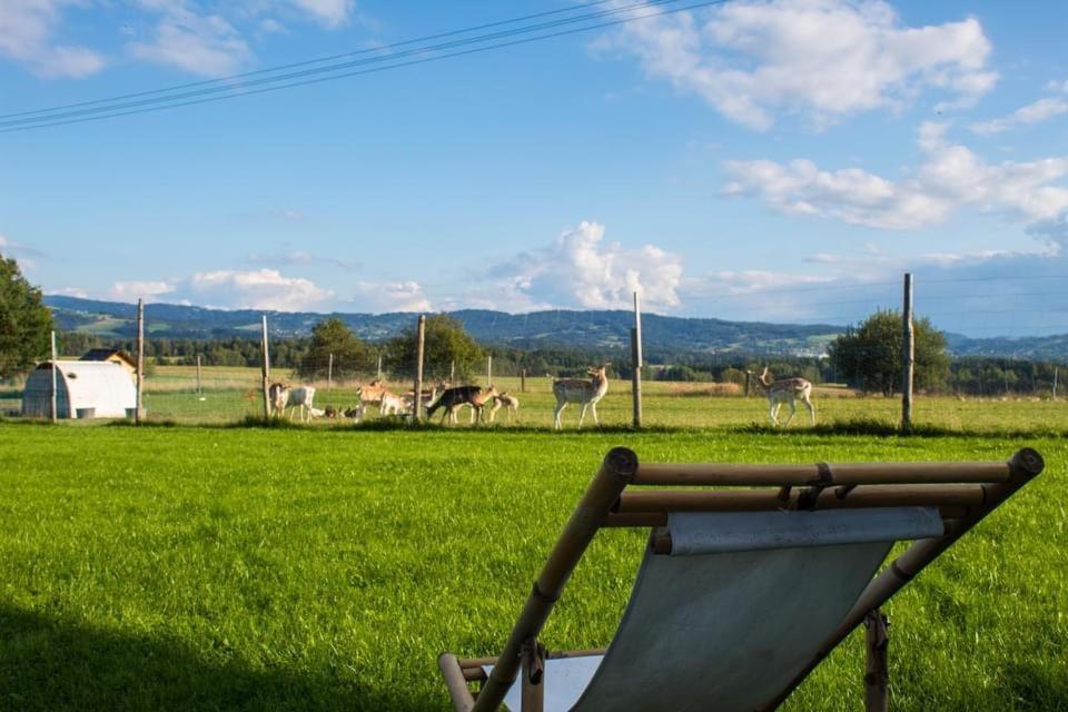 Ranczo Zwierzyniec Noclegi Jordanow Extérieur photo